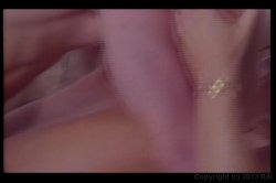 Captura de 'Hardly Hartley' nº 81