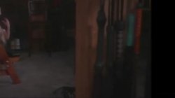 Captura de 'Intemporals 2' nº 95
