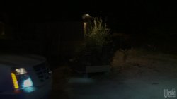 Captura de 'Intemporals 4' nº 1