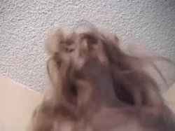 'Mega Clits #5' screenshot nº 88
