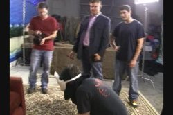 'Fluffers #6' screenshot nº 4
