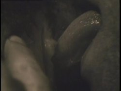 Captura de 'Come With Me My Love' nº 5