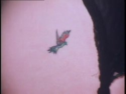 Captura de 'Come With Me My Love' nº 66