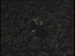 Captura de 'Come With Me My Love' nº 9