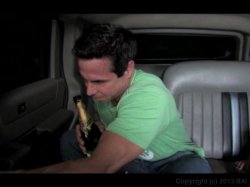 'Humper To Bumpher 2' screenshot nº 56