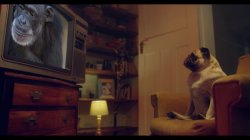 'Gonzo Experience' screenshot nº 1
