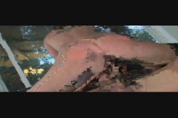 'Frat House Fuckfest 9' screenshot nº 11