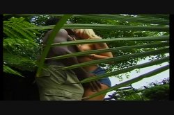 'Big Omar's Anal Holiday Harlots' screenshot nº 56
