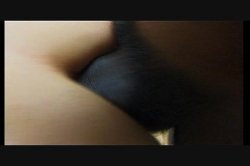 'Big Omar's Anal Holiday Harlots' screenshot nº 81
