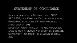 'Gangbang Auditions #33' screenshot nº 1