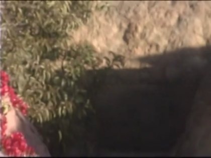 Scene 6