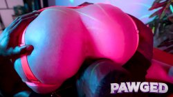 'Pawged Vol. 14' screenshot nº 23