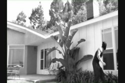 Captura de 'Creamy In The Middle 2' nº 22