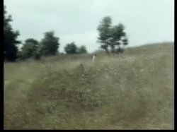 Captura de 'Selen Puledra In Calore' nº 4