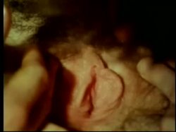 Captura de 'Legends Of Porn' nº 137