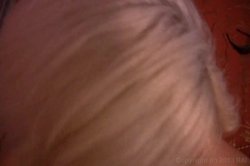 Captura de 'Cock Sucking Teens 3' nº 97