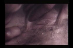 Captura de 'Hot School Reunion, A' nº 92