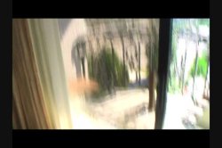 'Amateur' screenshot nº 24