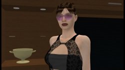 Captura de 'Erotic Dreams' nº 26