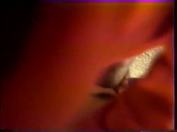 'Bubble Butts #3' screenshot nº 12
