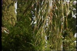 'We Go Deep 3' screenshot nº 130