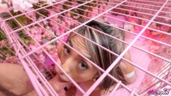 Captura de 'Pink Room Ep. 29 Lactating Slut Luna Columbiana Gets Wrecked' nº 27