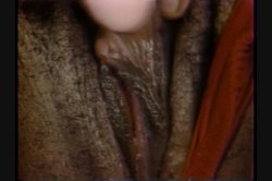 'Breast Wishes 2' screenshot nº 120