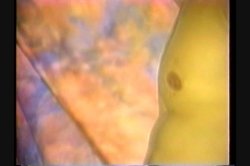 'Breast Wishes 2' screenshot nº 18