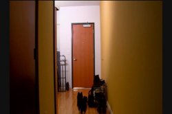 Captura de 'Anal Cavity Search 7' nº 124