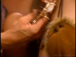 'Forever Stormy' screenshot nº 137
