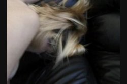 'Anal Club 11' screenshot nº 17