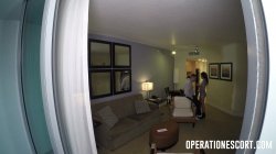 'Operation Escort: Maya Bijou' screenshot nº 22
