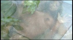 'She Got Ass' screenshot nº 66