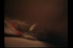 Captura de 'Ron Jeremy's Night Of The Headhunter' nº 53