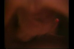 Captura de 'Ron Jeremy's Night Of The Headhunter' nº 127