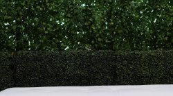 'Amateurs Wanted Vol. 37' screenshot nº 105