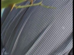 'Hard Riders 2' screenshot nº 69