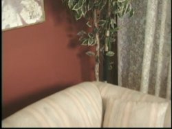 'Lactamania 9' screenshot nº 36