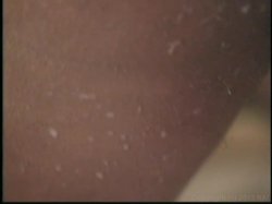 'Lactamania 9' screenshot nº 63