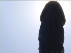 'Devinn Lane's Guide To Strap-On Sex' screenshot nº 3