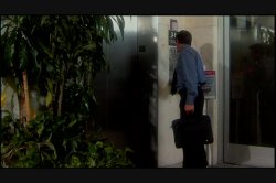 'Bush Babes' screenshot nº 136