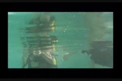 'Best Of Get Soaking Wet!' screenshot nº 120