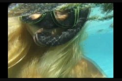 'Best Of Get Soaking Wet!' screenshot nº 17