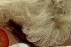 Captura de 'Eighties Porn Exposed' nº 84