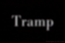 Captura de 'Tramp' nº 1