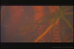 Captura de 'Group Sex 3: Let's Party!' nº 5