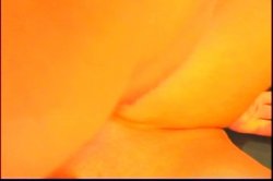 Captura de 'Group Sex 3: Let's Party!' nº 97