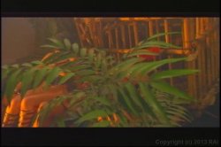 Captura de 'Group Sex 3: Let's Party!' nº 10