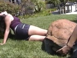 'Ticklish Roommates' screenshot nº 138