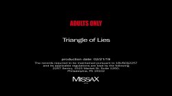 'Triangles of Lies' screenshot nº 3